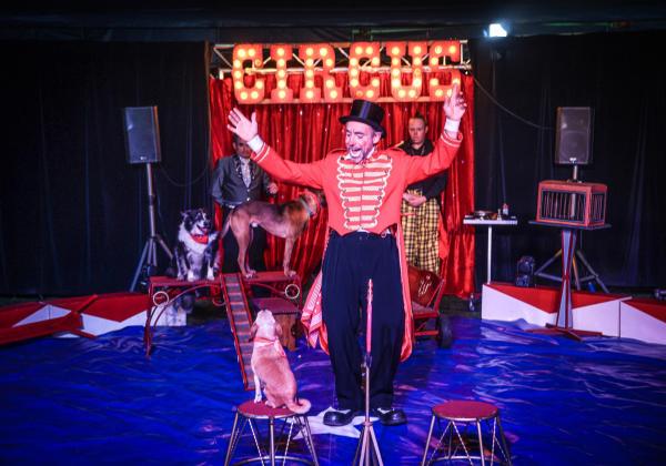 © Circus Inaya
